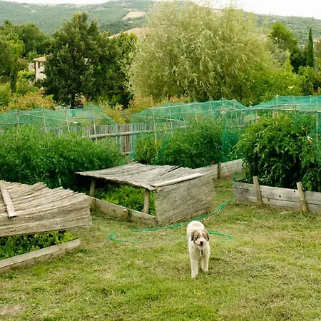 Podere Vignalunga *
